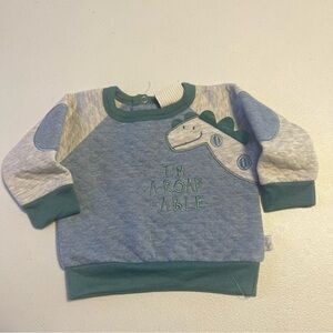 5/$25 Duck Goose baby sweatshirt dinosaur 3-6 months